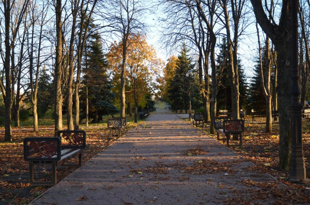 ������ ����, �������!. ������ � ��������, ��������� �������� ����������, ������ ������� � �������� ��������, ���� ������...