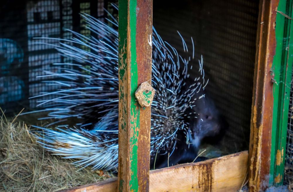 ��������, �������, �������� � ������ ������ ���������� ��������� ��������� � ������ ������