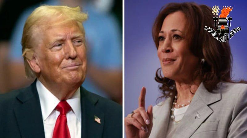 ���� ������������ � ��������