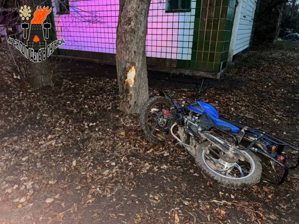 � ����������� ���� ���������� �� ������ ������ � ������