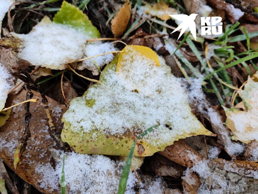 �� + 6 � ����������. ����� ����, � �� ������� ����������