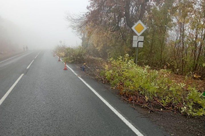 ��������� ������ ������� �� ������ ����������� � ��������