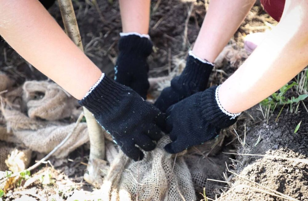 ���������� ���������� ��������� �������� ��������� � ��������������� ������������ ������� �� ����� �������� ������������� ����, � ����� ��������� ����������� ���������� ��������� ������������