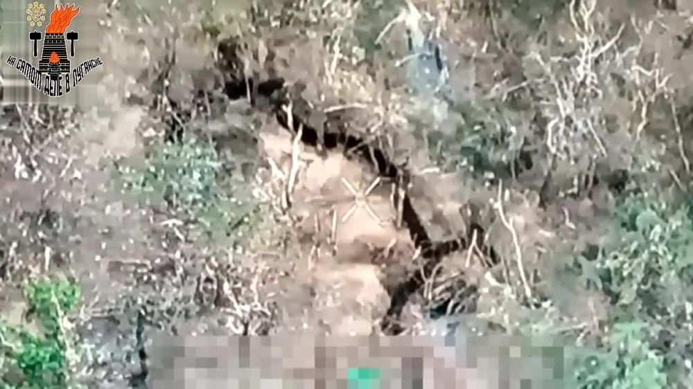 ����� � ����: ���������� "������� ����" ������ �������� �����