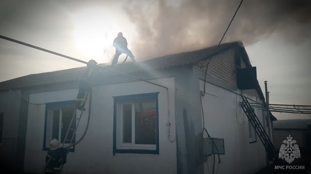 � ����� �������� ��������� ��������������� ����� �������� ������