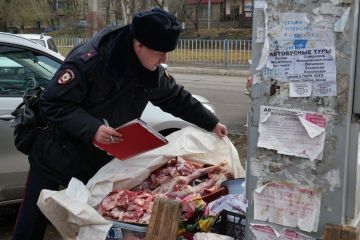 Мясо прямо на земле, а кругом бродячие собаки: В Луганске объявили бой стихийной торговле