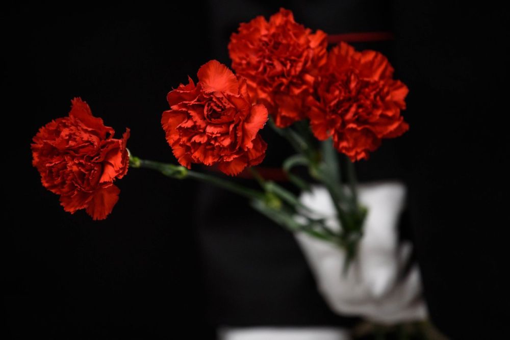 � �������� ����� ������� ������������� ANNA NEWS ������ �����