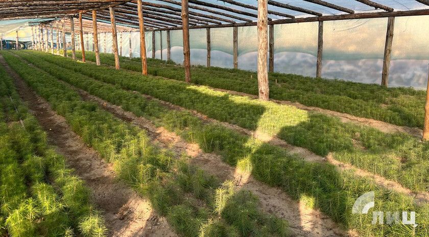 ��������� ������ ����� �������� ���������� ����� 100 �� ����