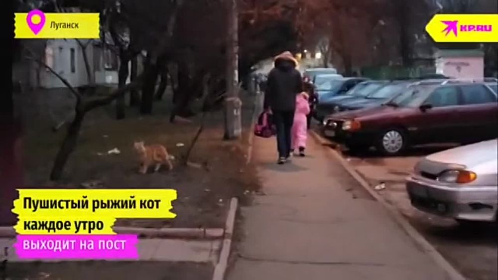 ����, ��� ���?. ��� ����� � �������� �����������, ������� ������ ���� ������� �� ���� ����, ����� ��������� � ������� ��� � ����� ��������� �����