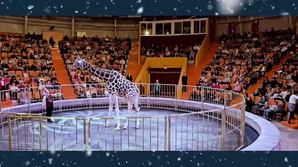 14 ������� � ��������� ����� �������� ���������� ������������� ������ ���!�