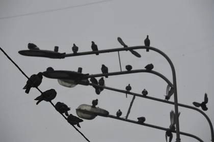 � ��� ��������� �����. 2 ������� � �������� ��������� ���������� � �������� � ������������ ������. � ������� ����� ����� ����������� ����� ���������� �� -1 �� +1