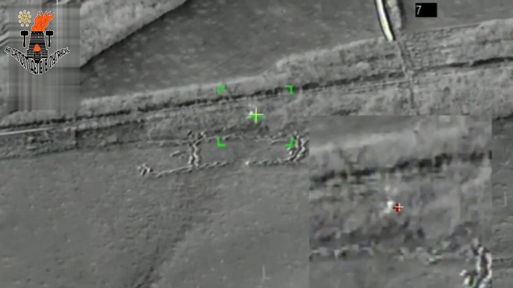 ������������ ����������� "�����" �������� ���������� ����� ������������ ���������