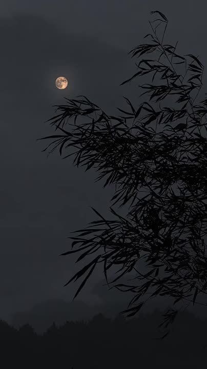 ��������� ����, �������� ����! ��������� ������ ����� ����� ������ �� ��� �������� ������ ����� ���� ����� ���� ���� �������