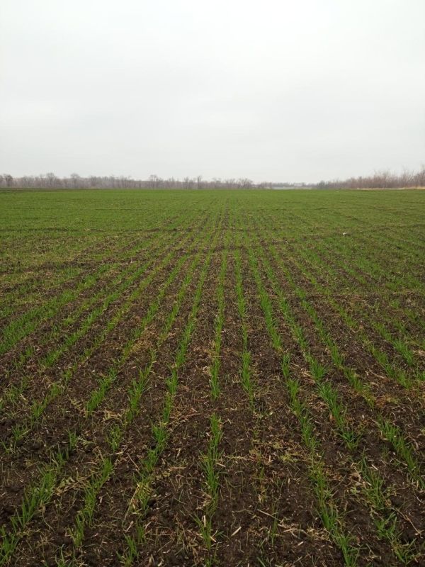 � ��� �������� ������� ��������� ������ �������