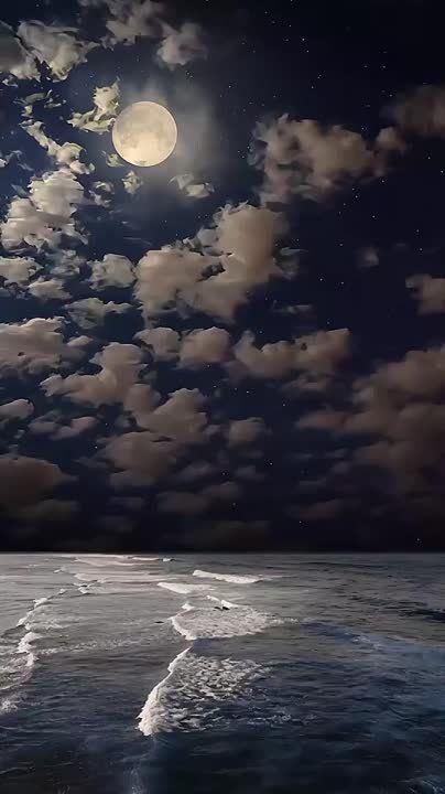 �������� �������, ������ ��� ������, ������ �����, ����������, ������