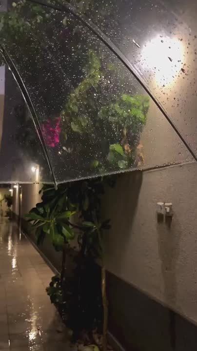 ���� ���������� �� ����� � ������ �������� � ���