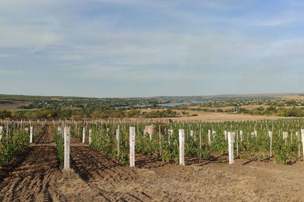 ������� � ������� ��������