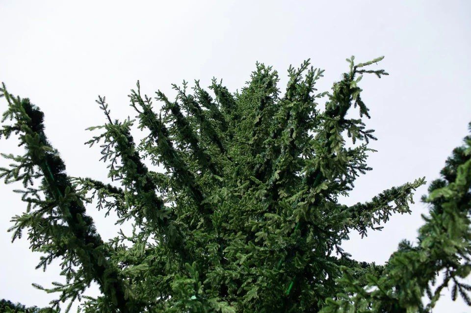 � ��� ��������� ��� �������� ���������� ���� �� ������������