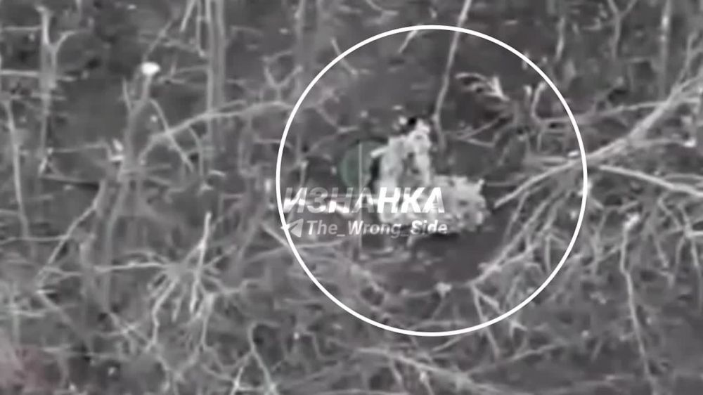 ������� � ������� ��� ����� �� ����