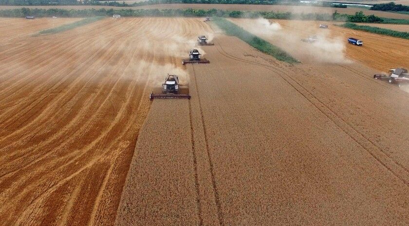 ���������� ��� ������������ ���������������� ���������� ������ �� 1 ������ 2026 ����