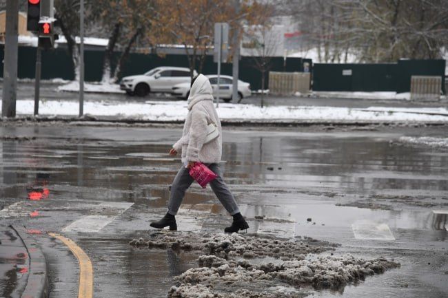 ���������� ������������ ��������� � �������� 8 �������