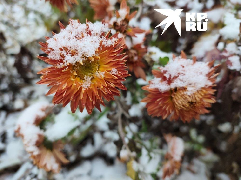 �����������. ����������� ������� ���� � �����. ��� ���������� �������� �������� �� ������ ������ ����