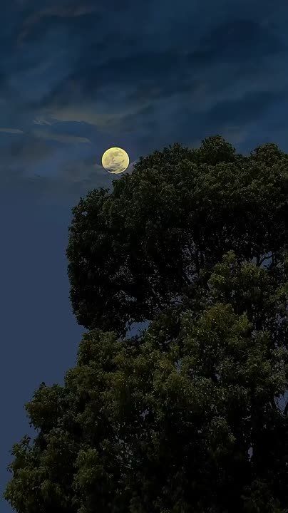 ������� ���� ��������� � ����, ������� ������ �����, ������� ������, � ��� ����� ������ ��������� ����