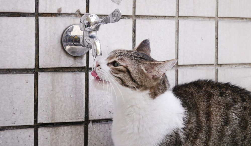 � 10 �� 11 ������� ��-�� ��������� ����� �� ����� ���� � �������: