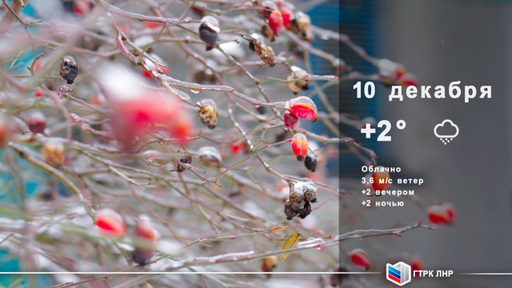 ������ ����, ��������� �������� ����������!