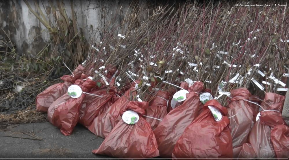 ����� 4,5 ����� �������� �������� � ����������� ������� ������ ������������ �������� ������ �� ��������� ������������� ���������