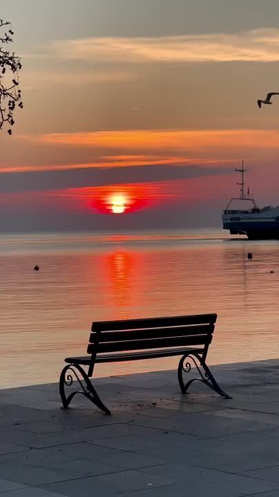 � ������� ����� �������� ����� �������� ������ � ��� ������ ���������� ���� ������ � �����