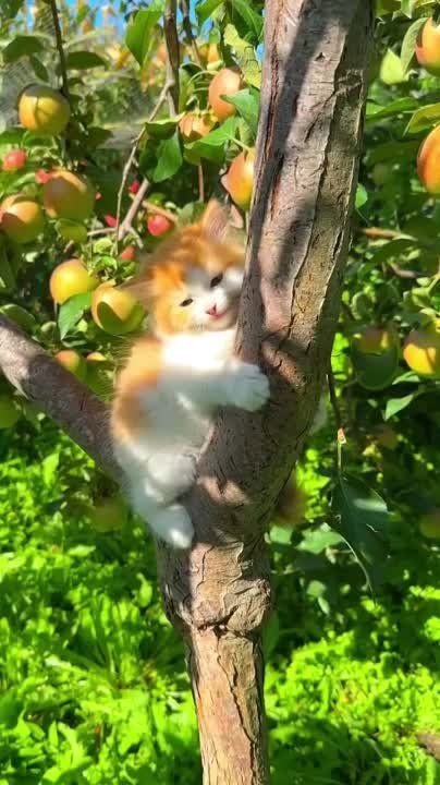 �� ���� ���� �������� ��� �� ��������� �����