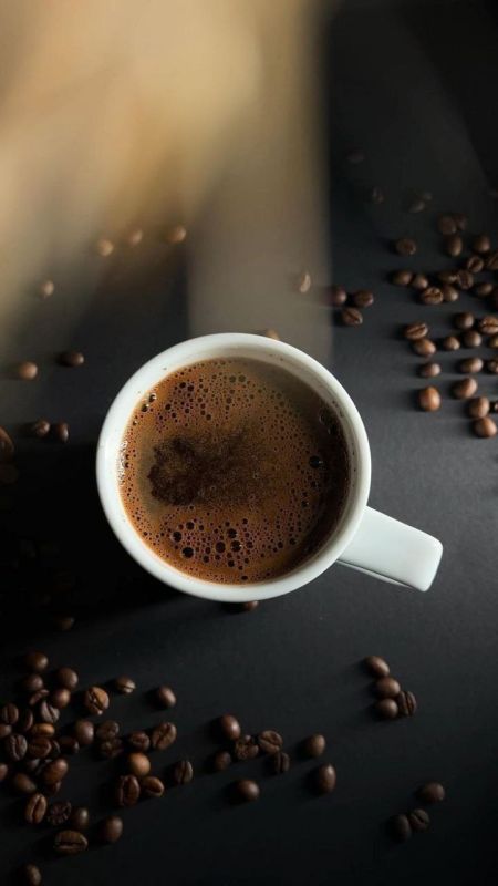 ���� ���������� ����� - ������