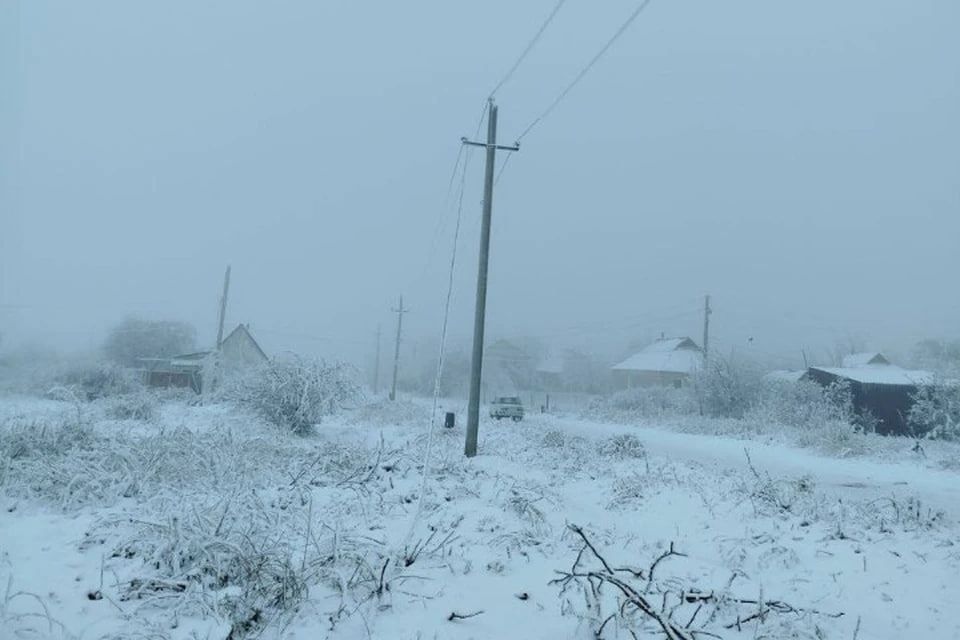 �� ����� � ��� ������������ ���������������� 15 ������� ���������