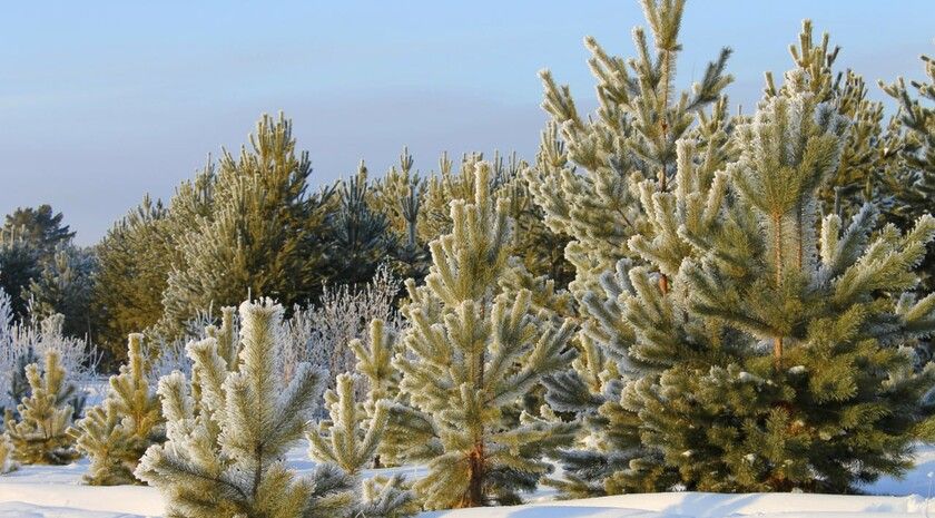 ���������� ��� ���������� �������������� ��� ���������� ���������� ����� ������� ��������