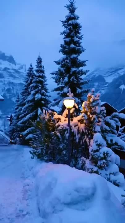 ���� ���������� � ����������� �����, ����� ����� ����� ����� � ���