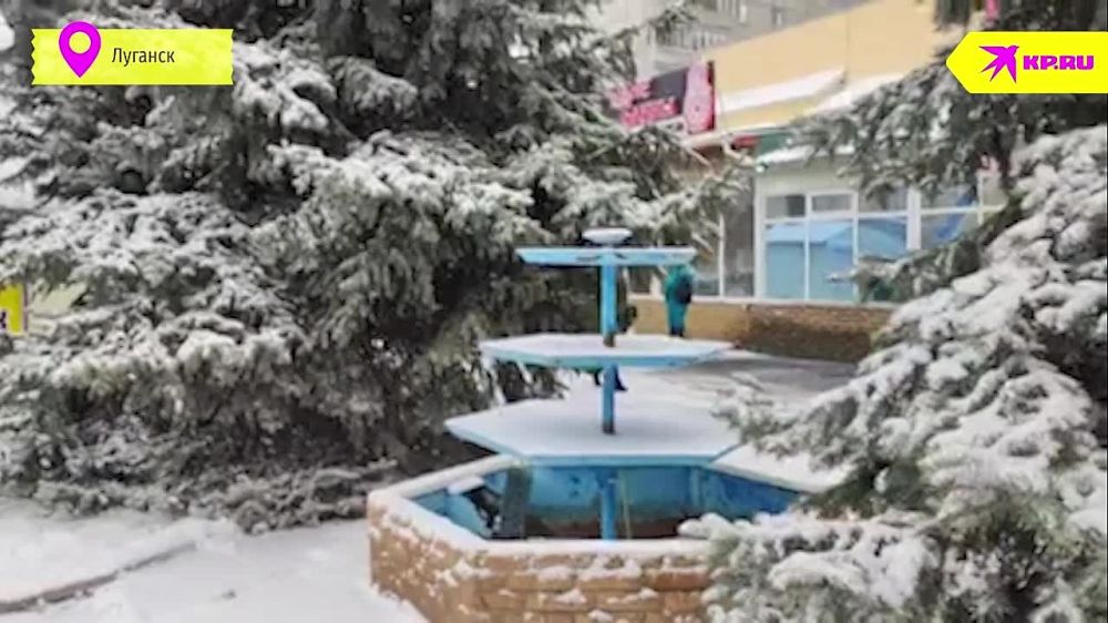 ���� �� ����� ������ �������� ���� ����