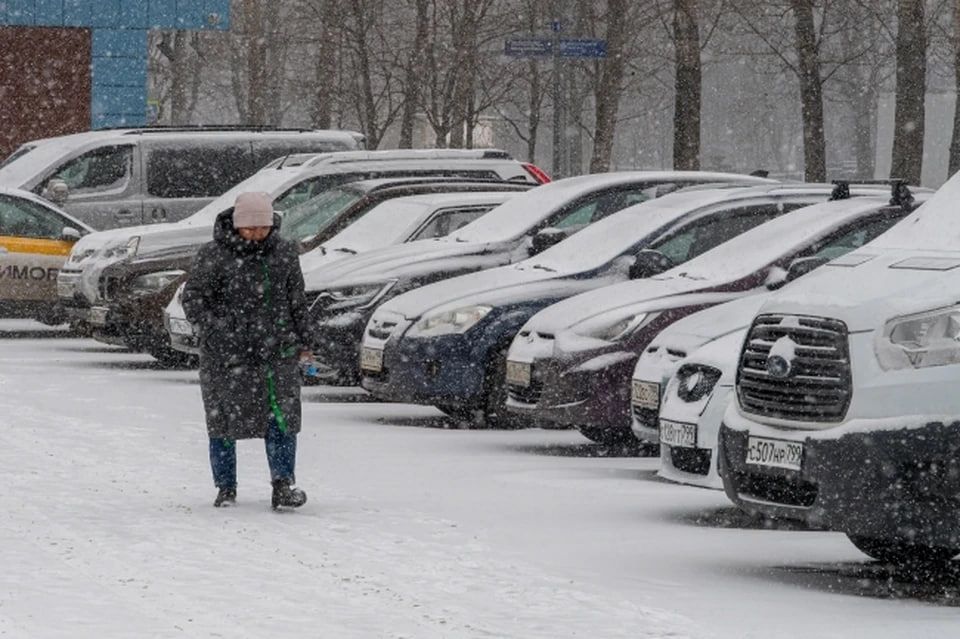 �������� � �������� ����������� � �����