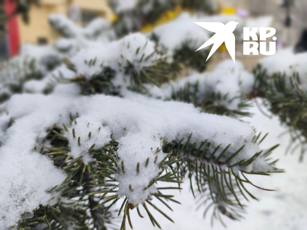 �� - 9 �������� � ����������