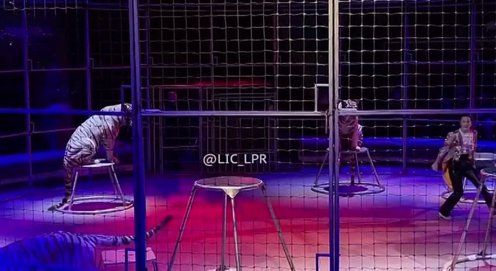 �������� ���������� �������� ��������� ������-��� ���������� � ��������� ��������������� �����