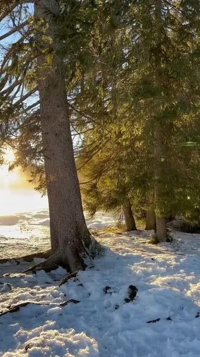 � ������ �������� � ������