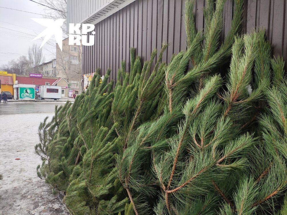 ���� �� ������. ��� ���� ������� �������� ������� �������� � ������ ��� "������". ���� �� ������ - �� �������� ���� ����� ����