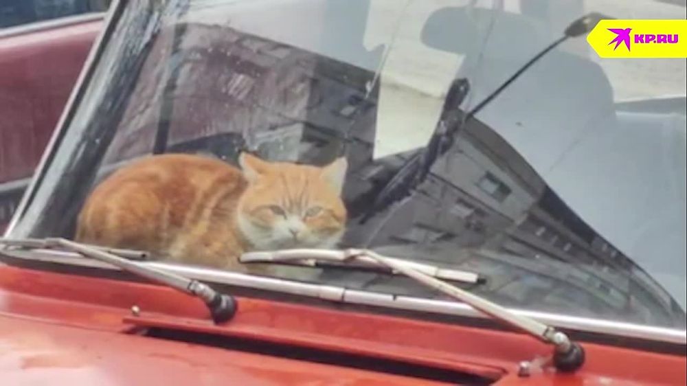 ������ ��� �������. ����� ������� ���� ��������� ������ ��� ������. �� ���� ���� ������ �� ��������� ����