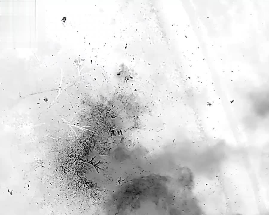 ��������� ����������� "�����" ������� ����������� �������� ���