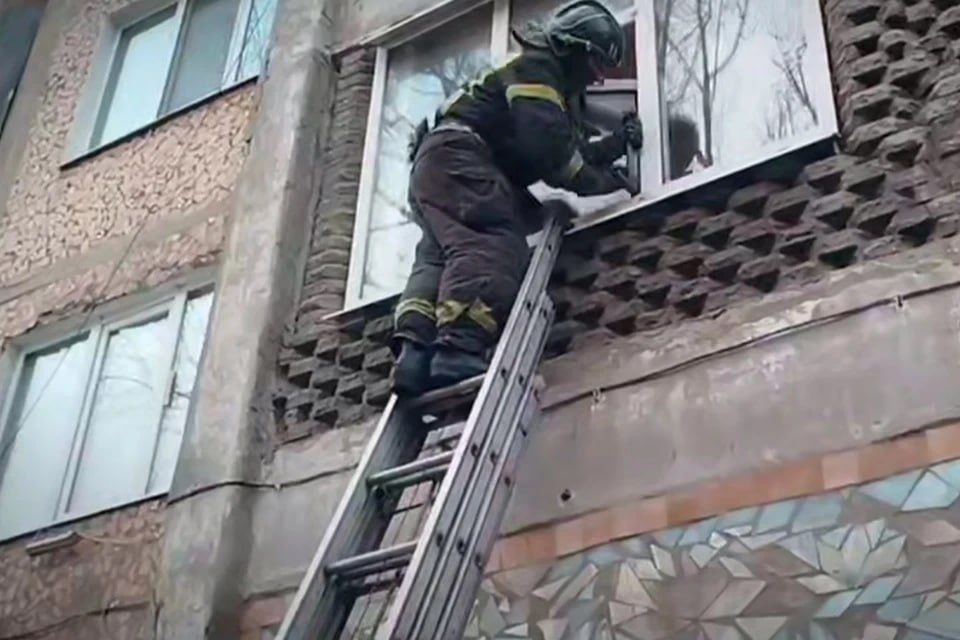 � ��������� ��������� ������� �����������, ������� ��� ��� ������� � ���������