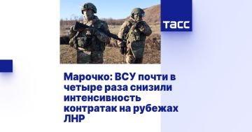 Марочко: ВСУ почти в четыре раза снизили интенсивность контратак на рубежах ЛНР