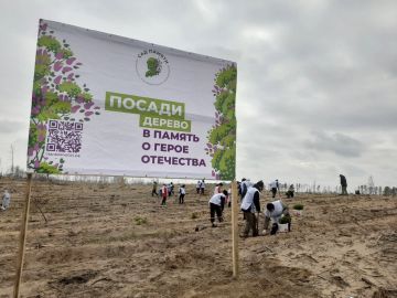 Подведены итоги Международной акции Сад памяти и Всероссийской акции Сохраним лес проходивших на территории Луганской Народной Республики в 2024 году