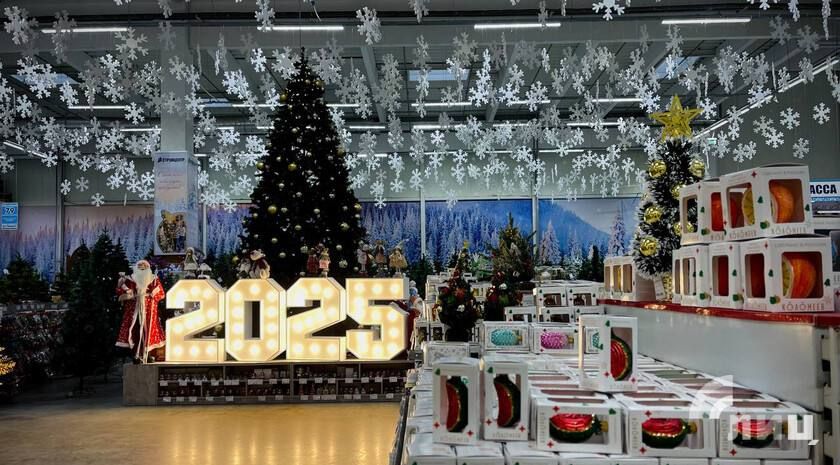 2025��� ������ �������� ������������� � ������������ ������ � �����