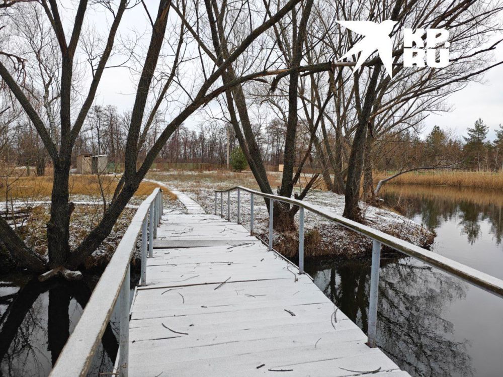 ����� ������� ������ � ������� ���������