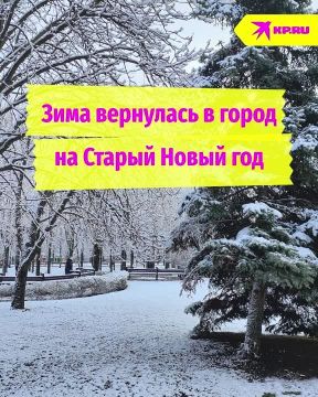 Дорожники работают в усиленном режиме, чистят остановки и ливнёвки: На Луганск обрушился снегопад